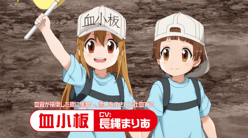 TV动画第2期《工作细胞!!》第2弹PV公开 2021年1月9日开播