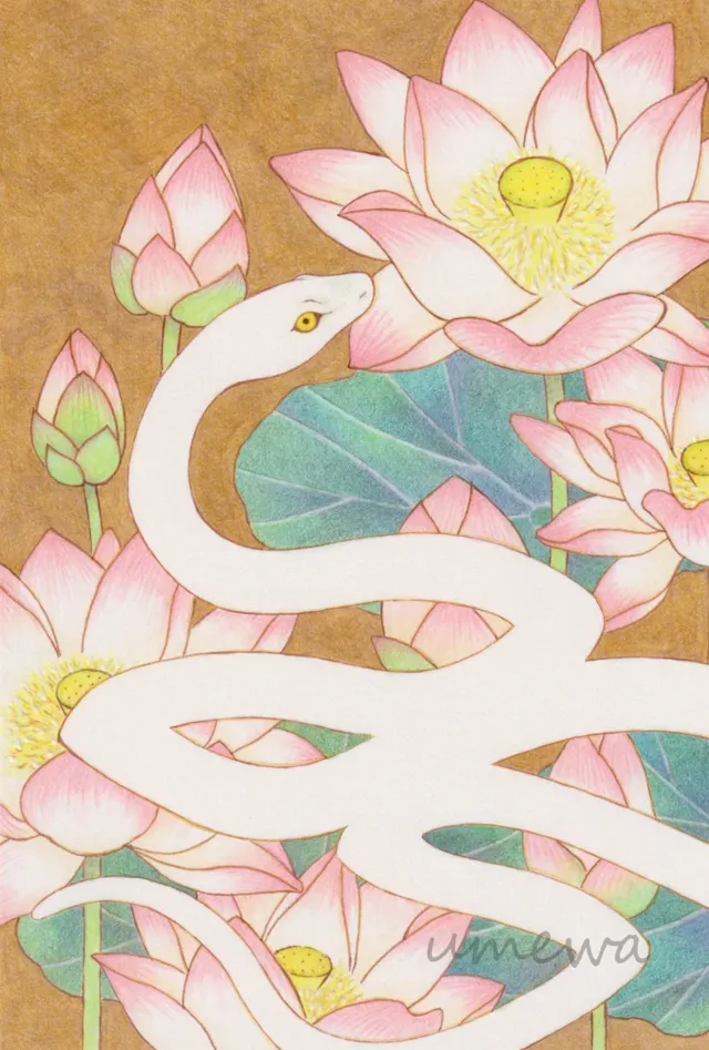 点缀水面 第 10 张