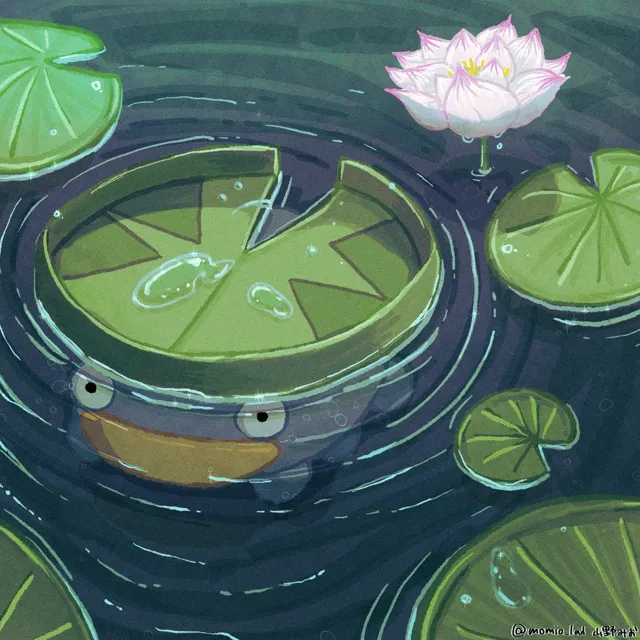 点缀水面 第 13 张