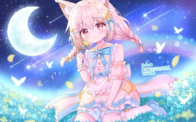 划破夜空的光芒 第 10 张